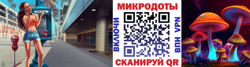 Псилоцибиновые грибы Psilocybine cubensis  Нея 